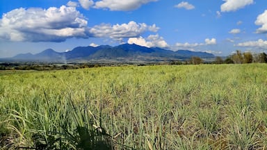 i didn't appreciate this view that much when I was growing up. Now I miss this kind of view a lot.