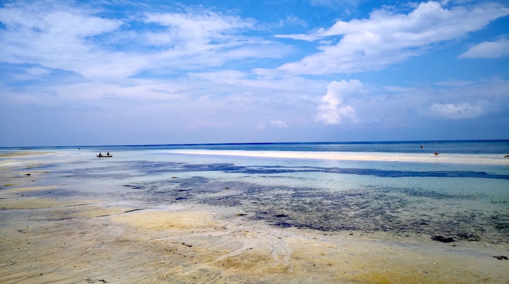 No need to spend thousands to enjoy the sand beaches of Cebu. Go North and visit this public beach in Tabuelan. Go on a weekday and you'll have the place to yourself.
#cebu #northerncebu