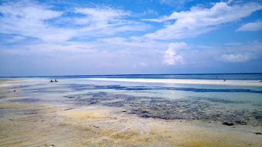 No need to spend thousands to enjoy the sand beaches of Cebu. Go North and visit this public beach in Tabuelan. Go on a weekday and you'll have the place to yourself.
#cebu #northerncebu