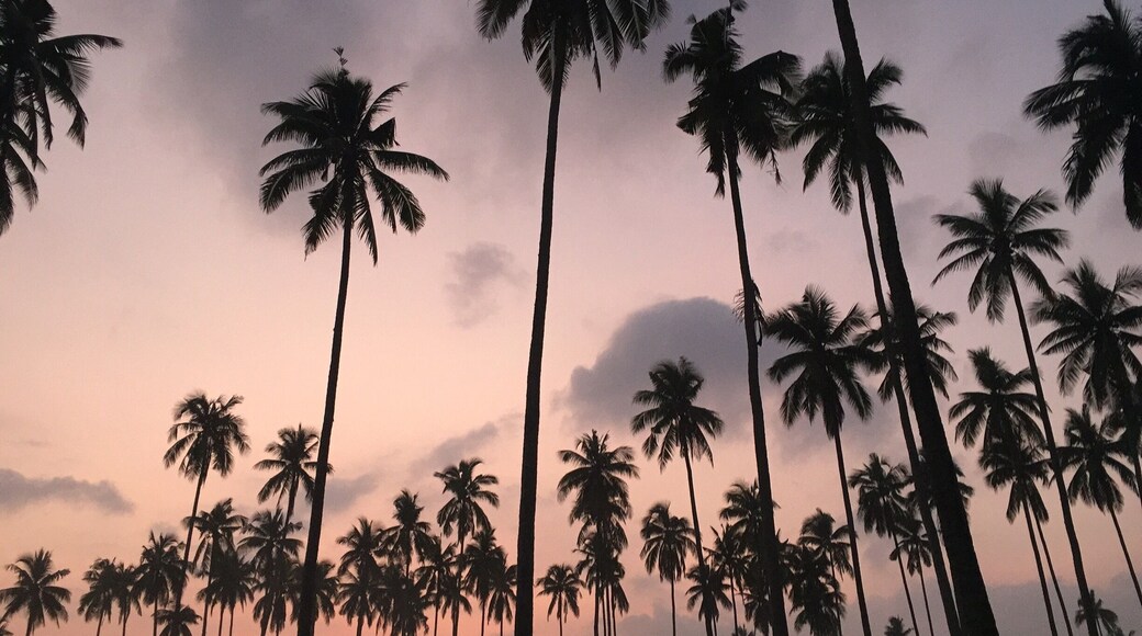 October 2015
Iphone 6