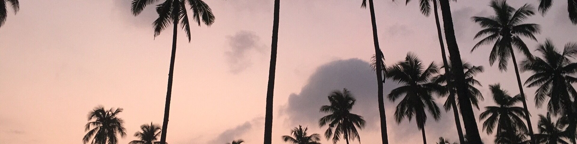 October 2015
Iphone 6