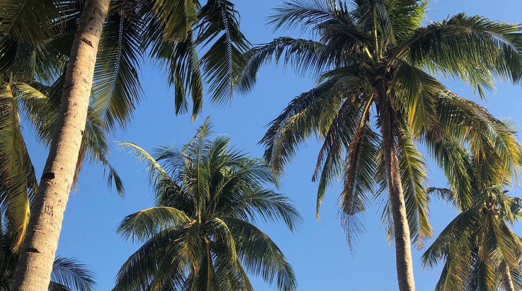 Traveling from el Nido to Coron on a sailing boat expedition...Spending an evening on a #beach camp on a desert island...Enjoying fantastic food and being screen & technology free !!
#philippines #palawan #tao #nature #freedom #worklifebalance #LifeAtExpedia