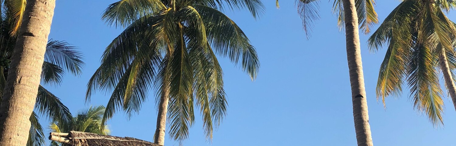 Traveling from el Nido to Coron on a sailing boat expedition...Spending an evening on a #beach camp on a desert island...Enjoying fantastic food and being screen & technology free !!
#philippines #palawan #tao #nature #freedom #worklifebalance #LifeAtExpedia