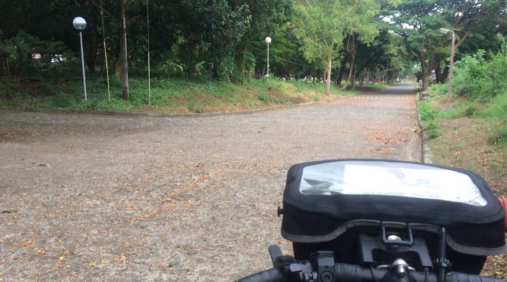 Biking is good for your legs https://adventuregearhub.com/best-exercise-equipment-for-bad-knees-and-hips/