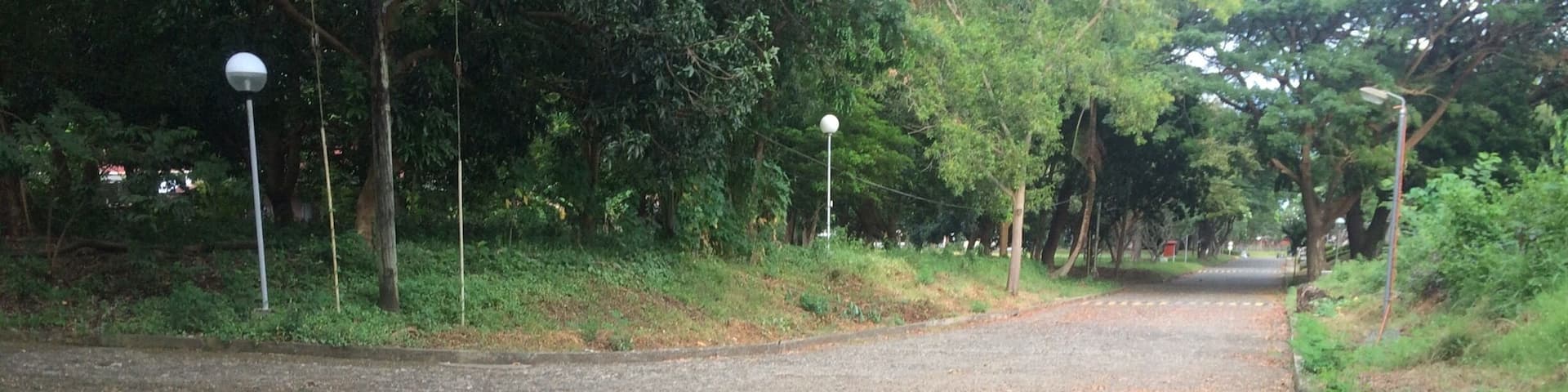 Biking is good for your legs https://adventuregearhub.com/best-exercise-equipment-for-bad-knees-and-hips/