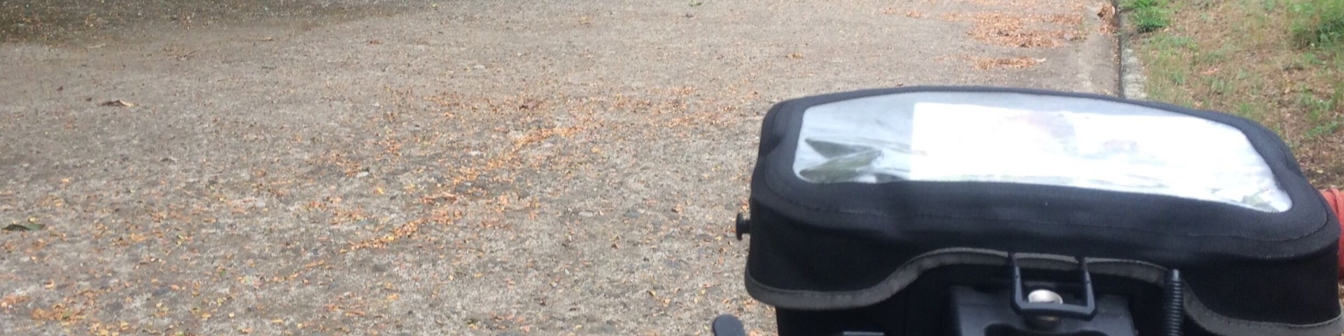 Biking is good for your legs https://adventuregearhub.com/best-exercise-equipment-for-bad-knees-and-hips/