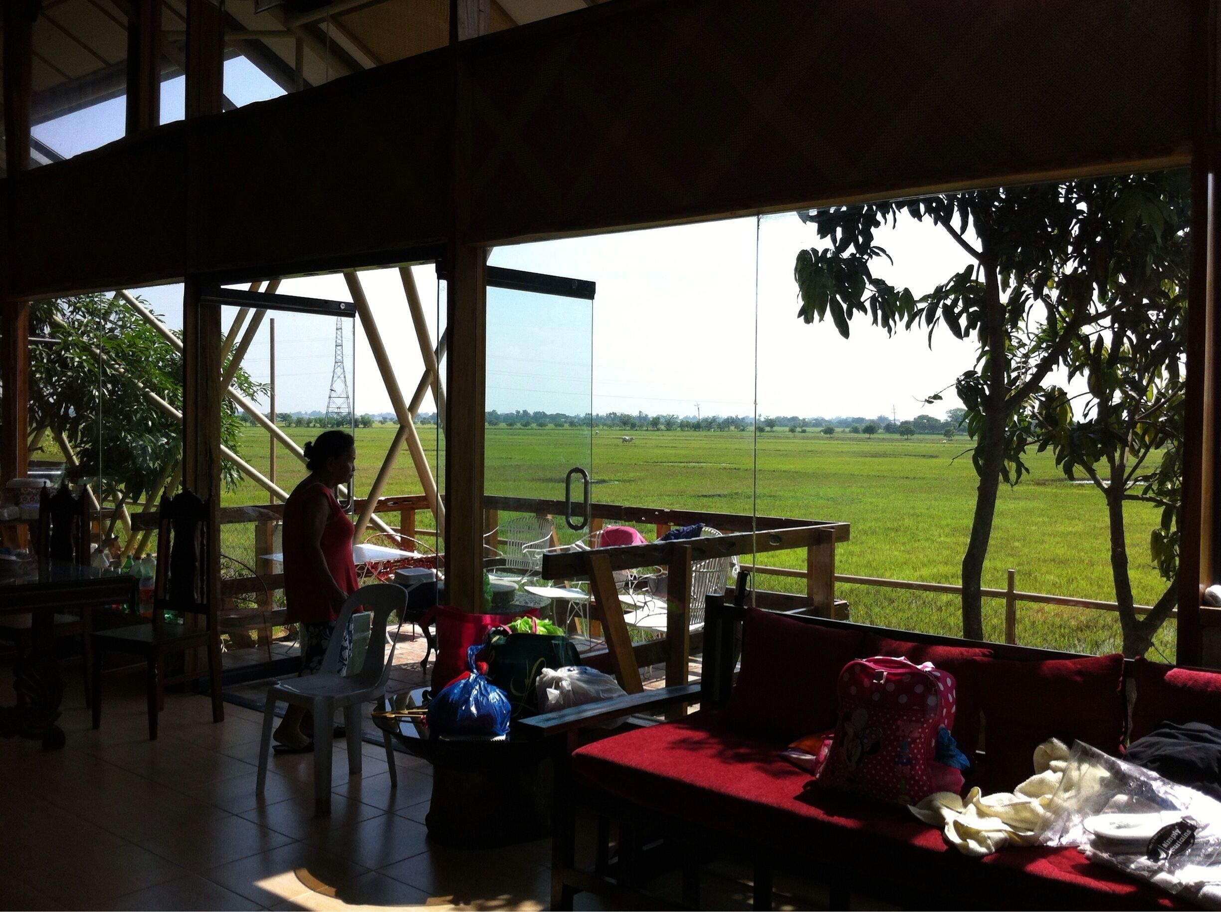 A woman in a red shirt standing by a window overlooking a green field.
