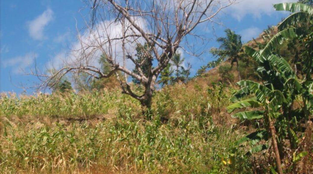 On our way to Tabong Tabong, Barbaza, Antique.