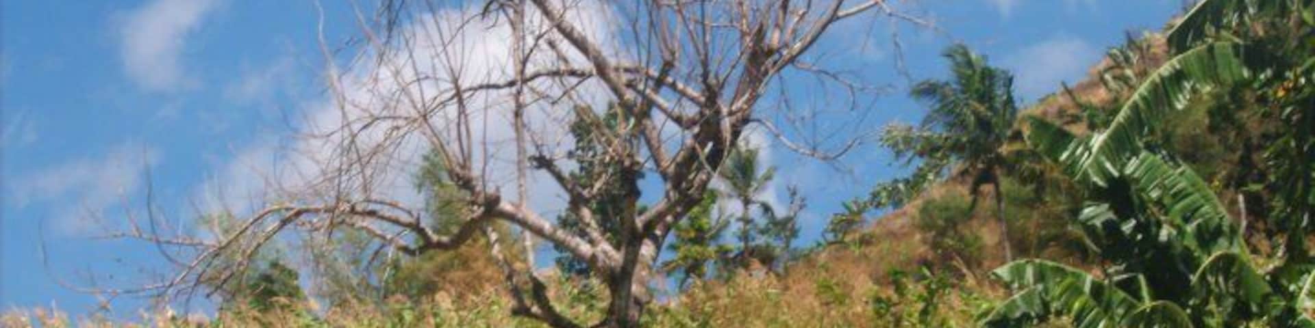 On our way to Tabong Tabong, Barbaza, Antique.