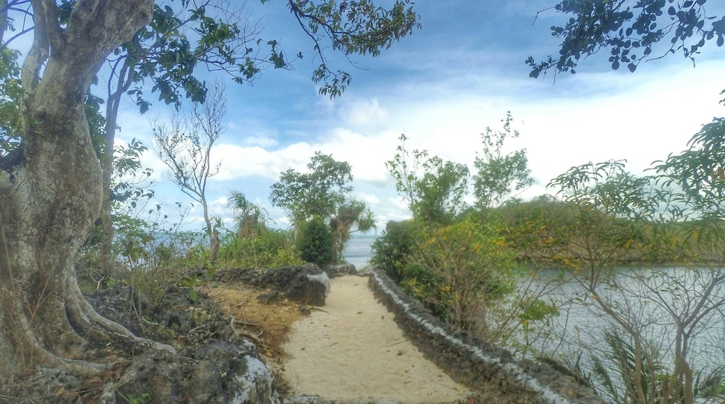 My second favorite beach spot in Guimaras, the Natago Beach (Hidden Beach).
Went for a week-long trip in Panay Island (Guimaras-Antique-Iloilo) last Februay of 2016. It was a supposed Palawan trip but I was late to my flight so I just decided to go somewhere else than pay thrice the price for a rebooking fee. It was a blessing in disguise as that became one of the best trips of my life. #ExplorePanay #beach #island #nature #choosephilippines