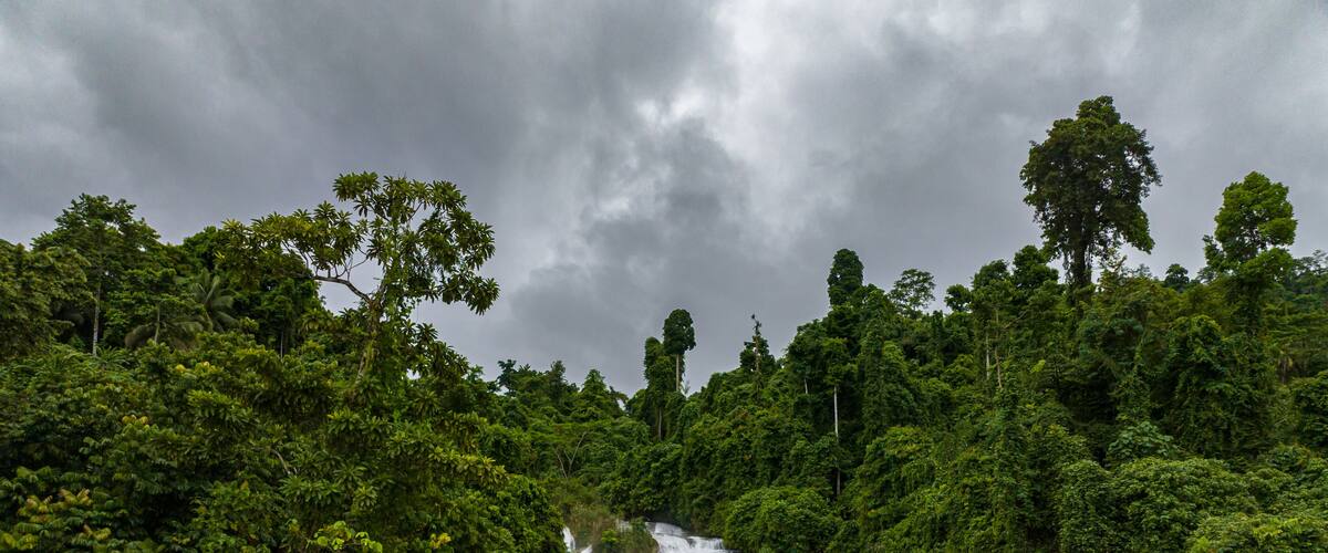 A waterfall surrounded by dense green forest.