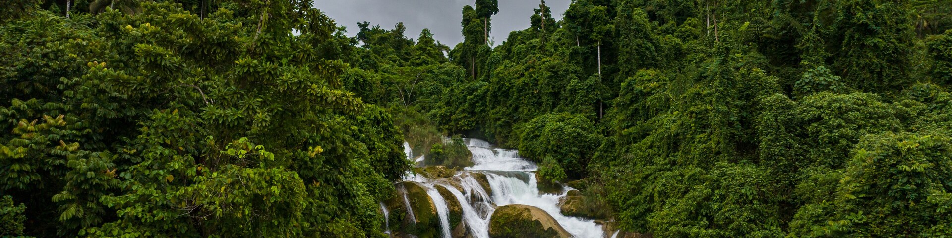 A waterfall surrounded by dense green forest.