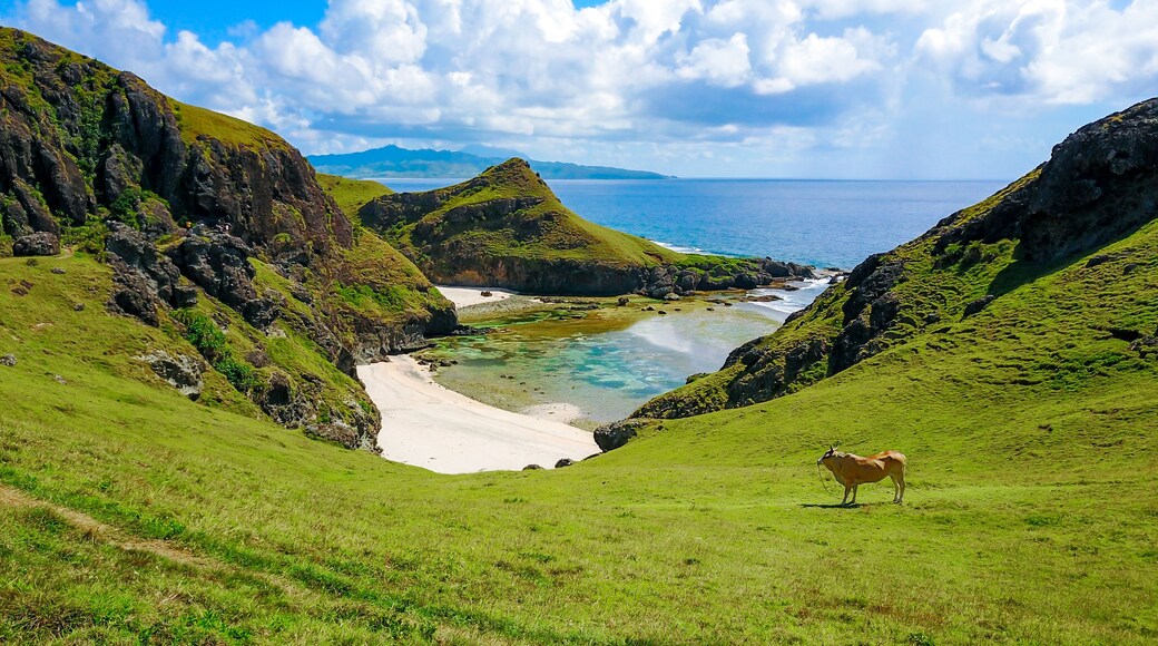 Een kustlandschap met groene heuvels, een zandstrand en een heldere blauwe zee.