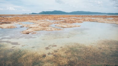 A coastal landscape with tidal pools and clear water.
