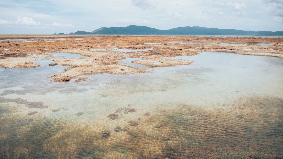 Aurora, PH - A random place we found upon wandering off from our random trip's itinerary.