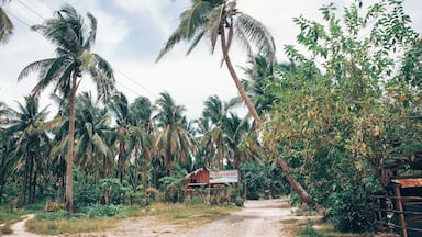 Aurora, PH - A random place we found upon wandering off from our random trip's itinerary.