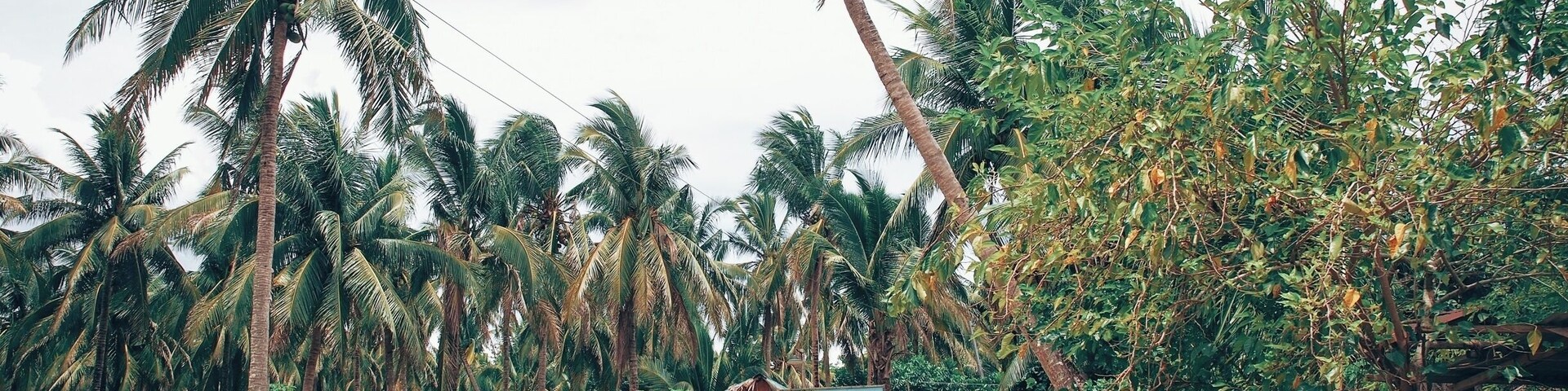 Aurora, PH - A random place we found upon wandering off from our random trip's itinerary.