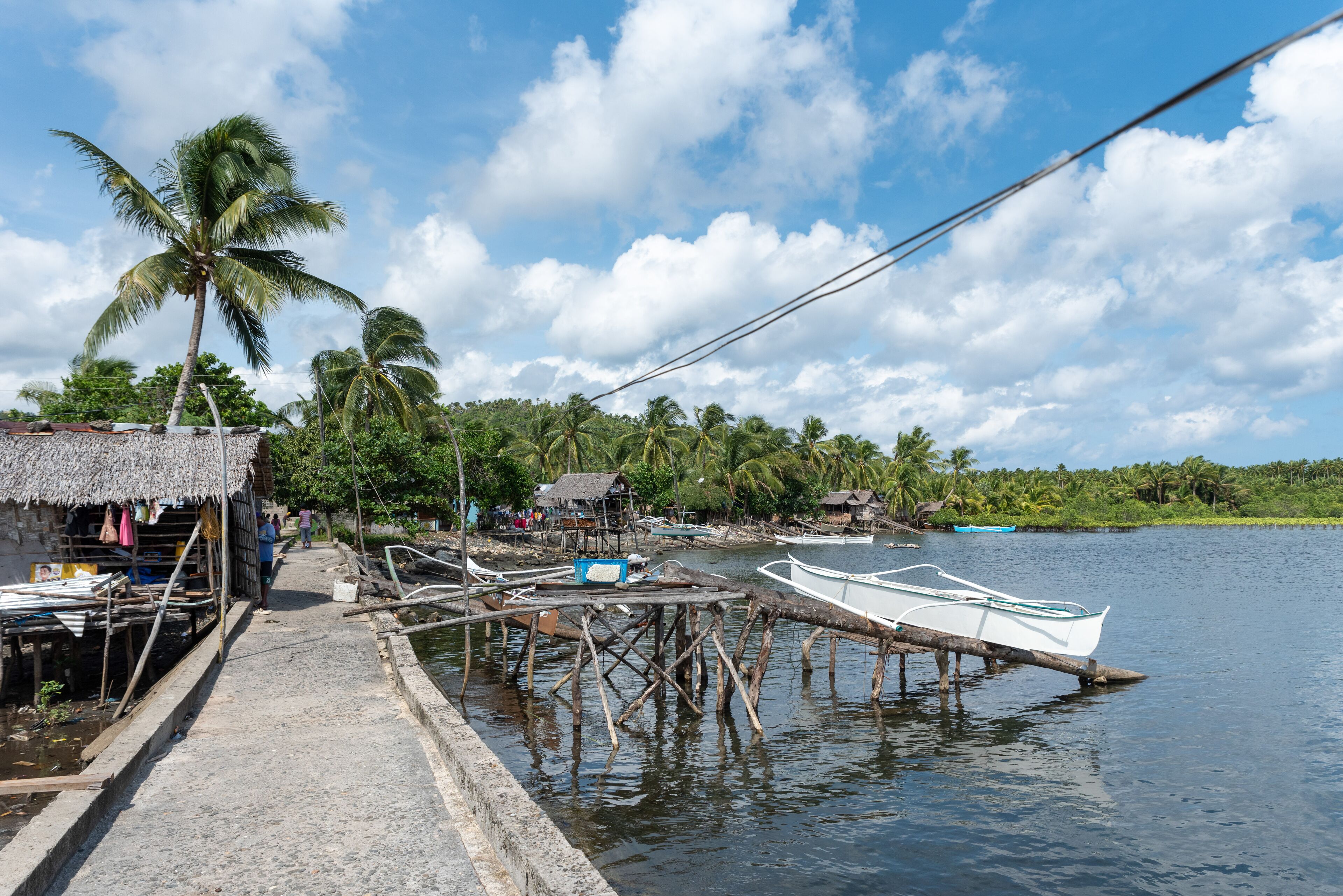 A wooden dock extending into calm water, surrounded by palm trees and small huts.
