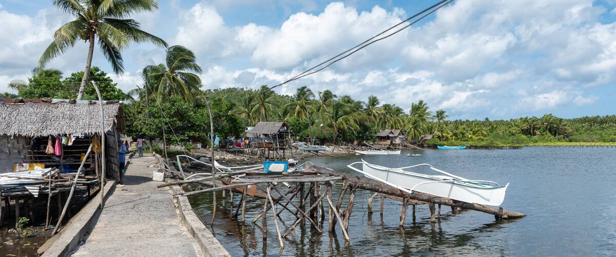 A wooden dock extending into calm water, surrounded by palm trees and small huts.