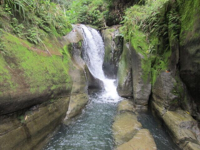 You can find this in a virgin forest in Lipay, it's nice and has a vibrant and lush green at its background...