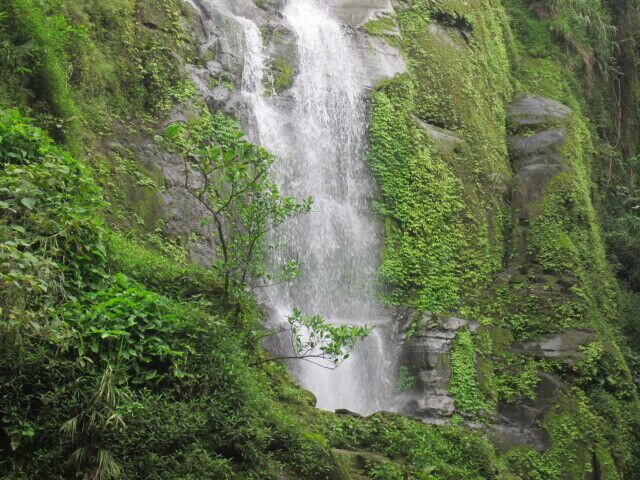 The Power of Green Grey and White....