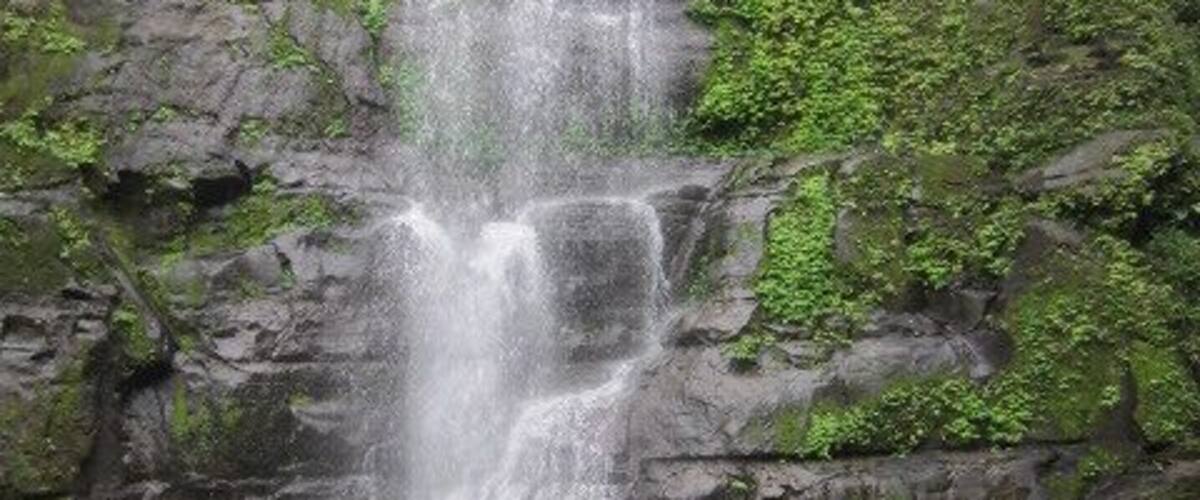 A waterfall cascading over rocks surrounded by lush greenery.