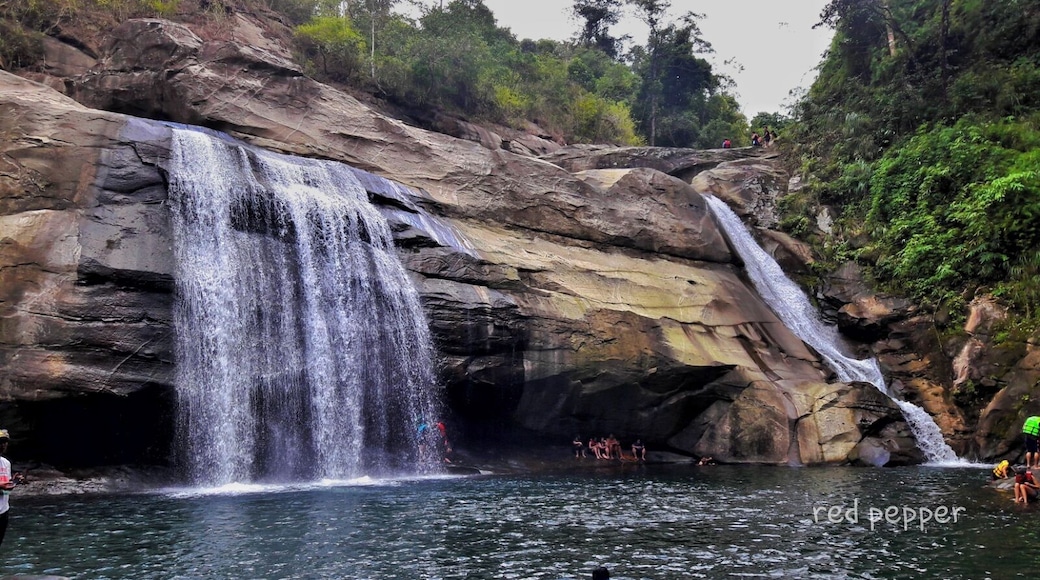 it was fun trekking about an hour before we saw enchanting tangadan falls after which we enjoyed swimming at the foot of the falls