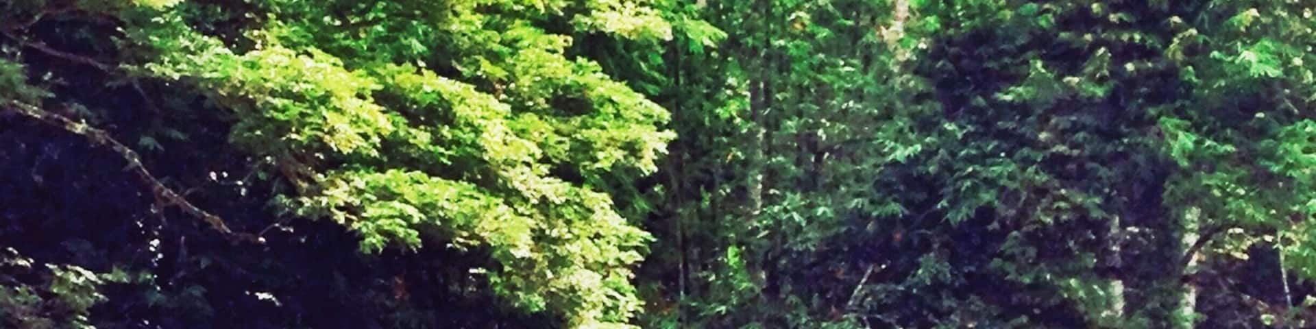 Hanging by a moment here with you. đ