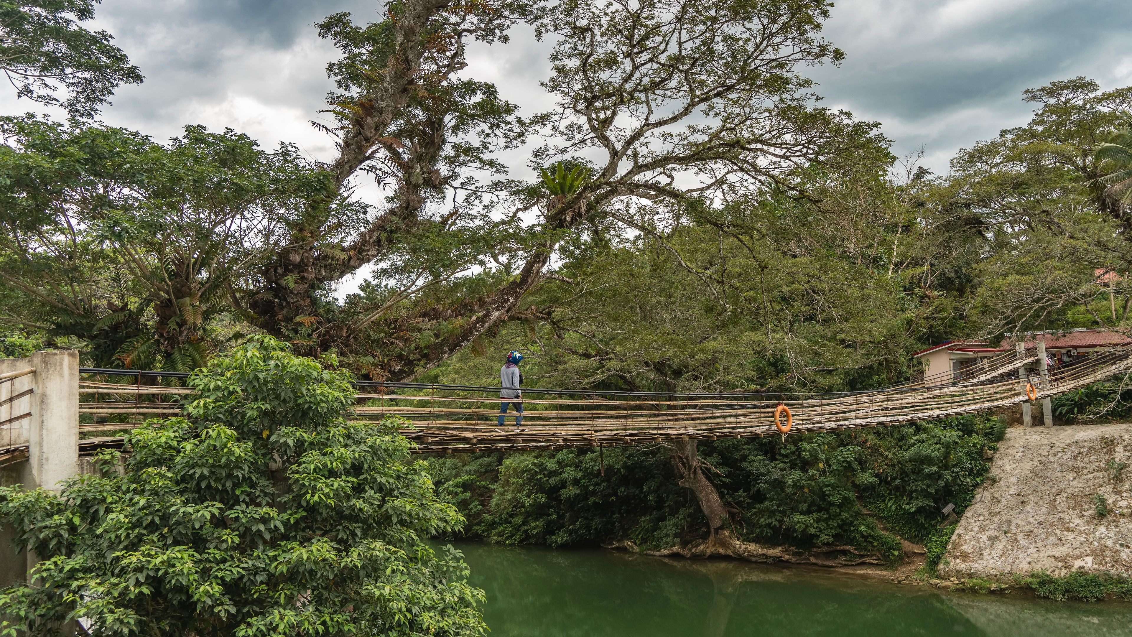 Un puente colgante sobre un río, rodeado de abundante vegetación y árboles.