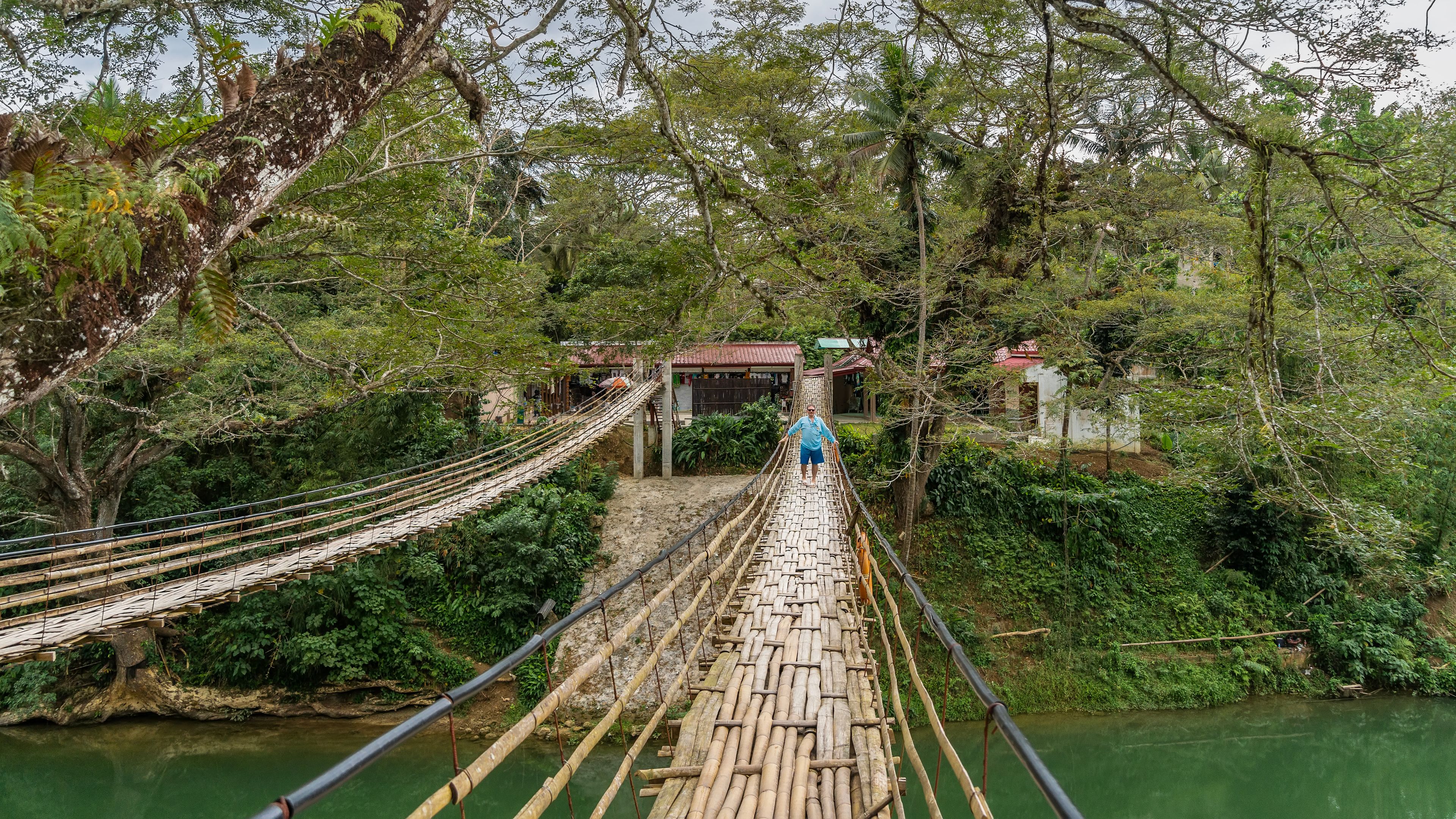 Un puente de bambú sobre un río con abundante vegetación y edificios al fondo.