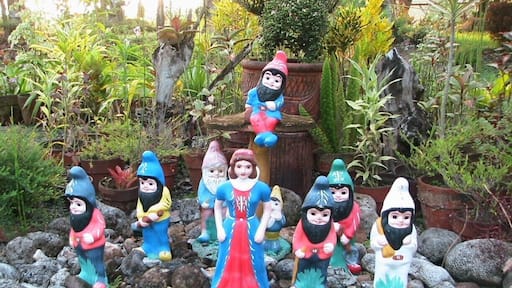 Landscape garden decoration , my ancestor house
Snow White & the 7 dwarfs