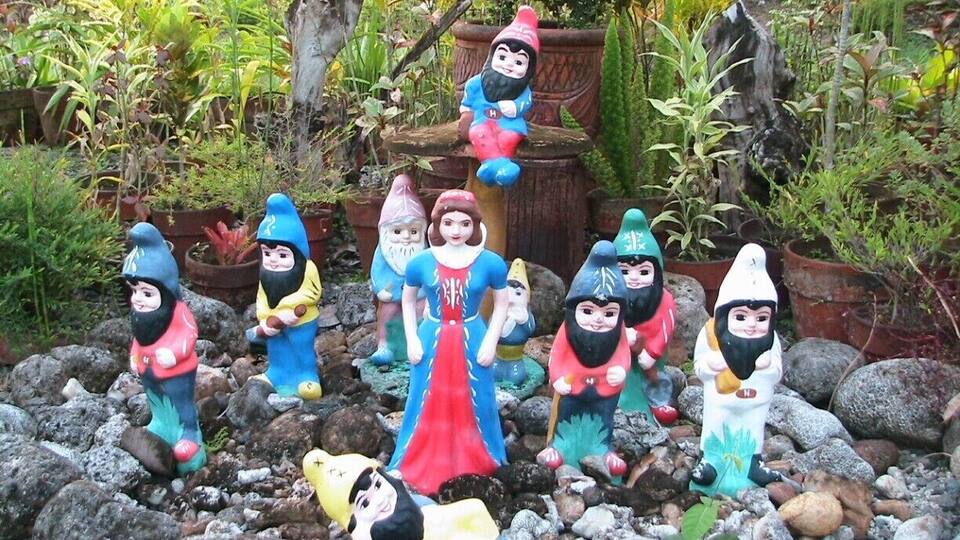 Garden gnomes and a central figure in a blue and red dress among rocks and plants.