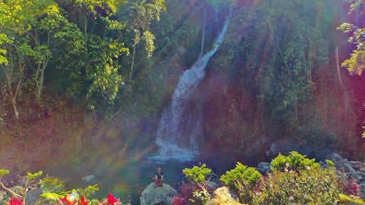 This is like seeing Peter Pan's wonderlandđ First paradise you'll get to witness prior to the Majestic Mt. Apo #nationalpark