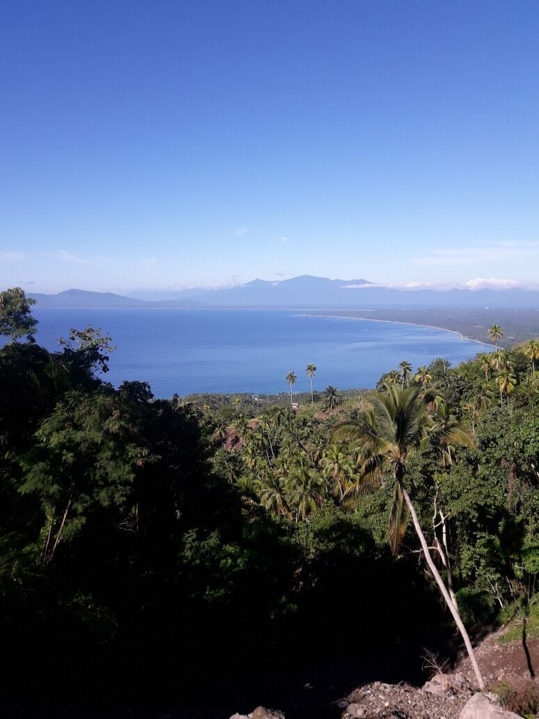 A coastal landscape with dense tropical vegetation and a clear view of the ocean.