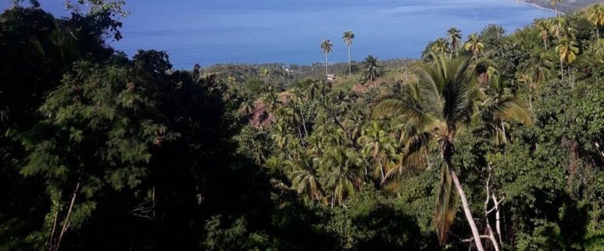 A coastal landscape with dense tropical vegetation and a clear view of the ocean.
