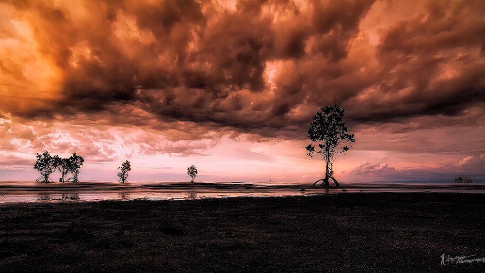 A beach with trees silhouetted against a dramatic sunset sky.