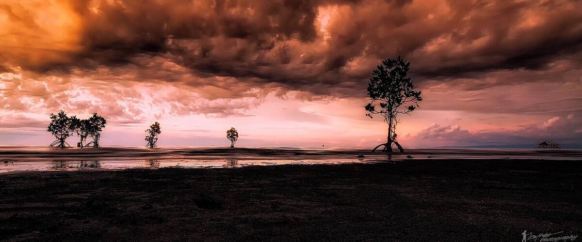 A beach with trees silhouetted against a dramatic sunset sky.