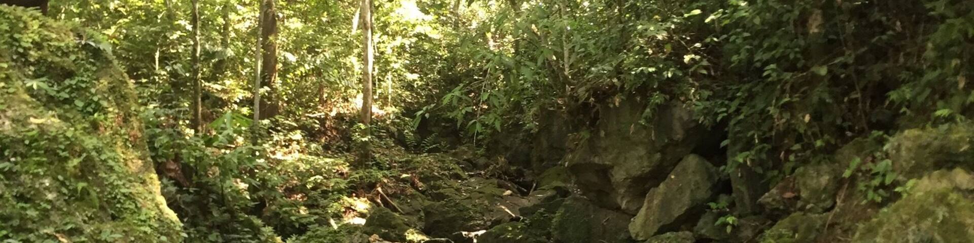 lush lush greeeen. 🌿