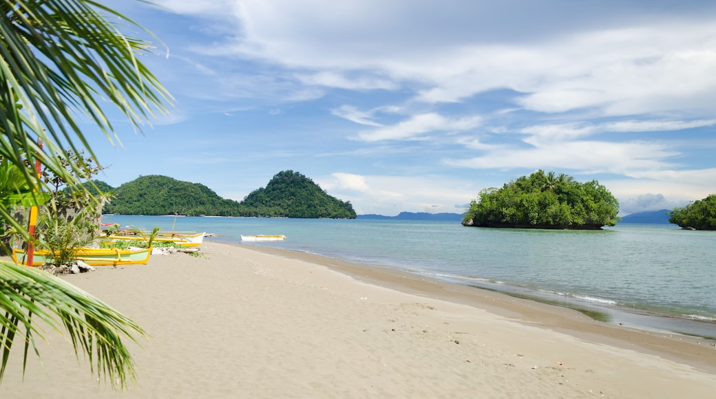View and landscape of Mindanao Region, The Philippines, Lanuza area and Cortes.