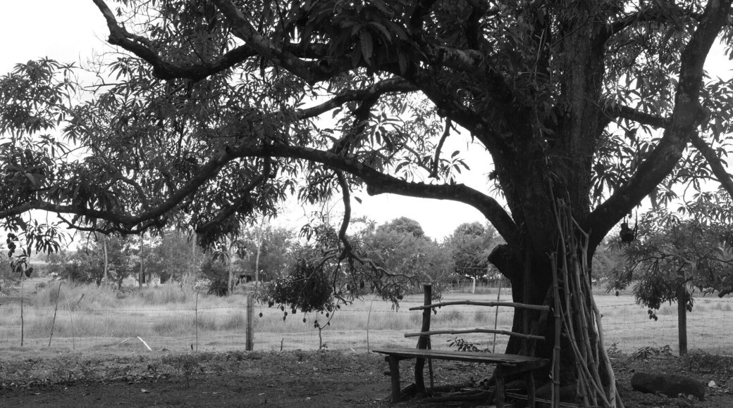 everyone deserves to have a happy place.. #happyplace