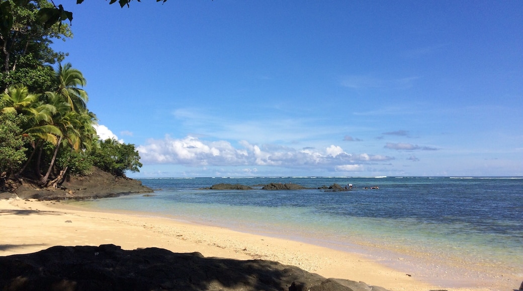 Better during high tide