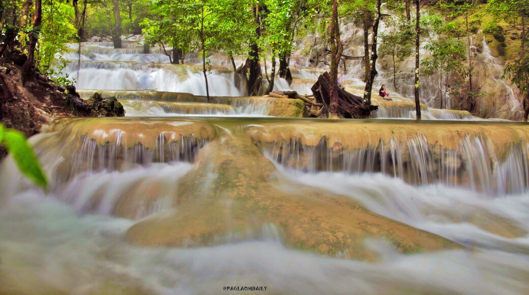 The terraced pools of Kaparkan is flowing again. The (approx) 62 hectares of natural wonder has many phases and faces; all of them equally beautiful and magical. The spring which is the source for these pools flows endlessly - all year round. In the dry season, it flows gently and is not enough to fill the entire area. But at some point it comes out somewhere creating natural pools which are full any time of the year. Then it disappears again, continuously flowing through underground caves and comes out just before it drops down to the Tineg river. It is also the time when Kaparkan is slowly forming itself, making the fallen leaves, twigs and branches part of it. When the rain comes, all these wonders are concealed, transforming itself into a beauty that no words can define.
#nature
#naturephotocontest
