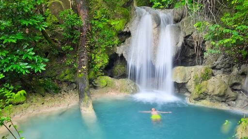 This is Kaparkan Fall's Blue Lagoon. This is the second to the last pool before the final drop to the river. Behind that veil are where bats live. This pool is deep enough for jumping. The guy in the photo jumped from the top of that fall.
#nature
#naturephotocontest
#kaparkanfalls
