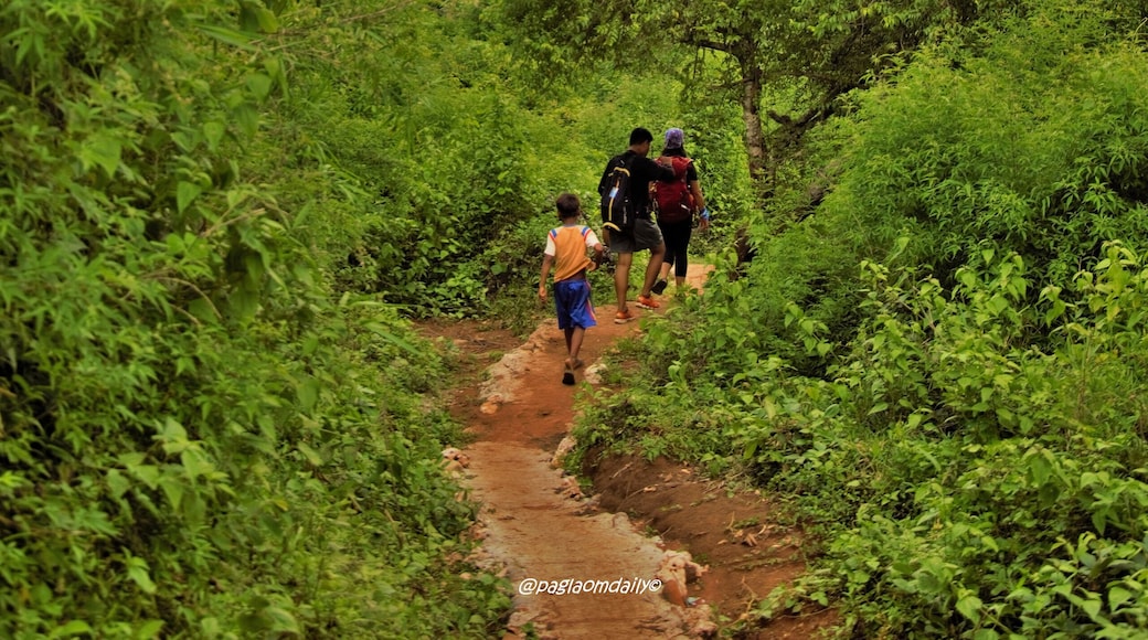 Mt. Sagang, popularly known as Mt. Pugao, towers over Caganayan, a village along the Tineg River. When I took this photo (in June), I didn't have any idea that I would be able to climb it before this year ends. I actually took a photo of this village from the top. We we're on top of that rock, if you look closely at the top close to the highest point, one windy and cloudy morning a few weeks ago! They say you never see a mountain the same way after you've climbed it.
#life