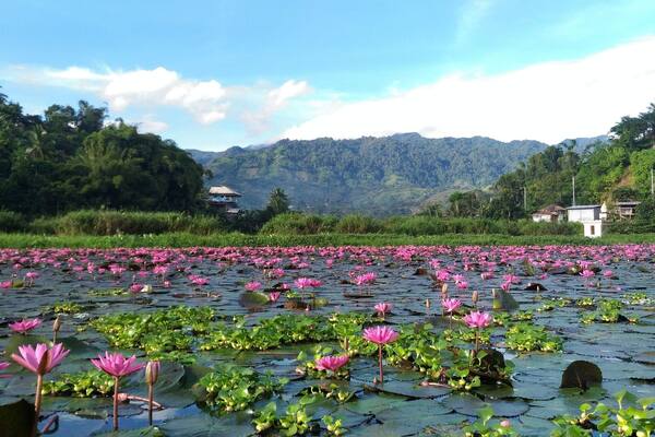Lake Sebu in the morning. Took an early boat ride to see the lotus flowers in full bloom. #LakeSebu #nature #lakes #outdoors #SouthCotabato #Philippines