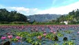 Lake Sebu in the morning. Took an early boat ride to see the lotus flowers in full bloom. #LakeSebu #nature #lakes #outdoors #SouthCotabato #Philippines