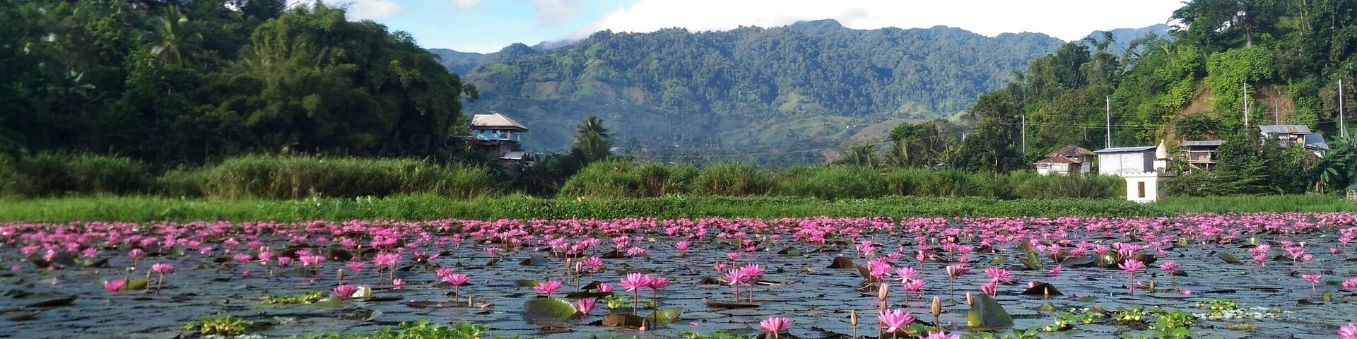 Lake Sebu in the morning. Took an early boat ride to see the lotus flowers in full bloom. #LakeSebu #nature #lakes #outdoors #SouthCotabato #Philippines