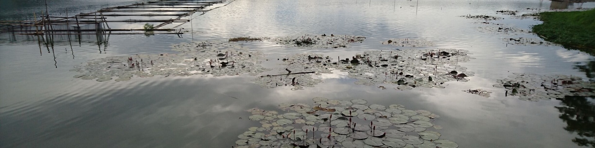 Serene lake. You can hear yourself breathing.