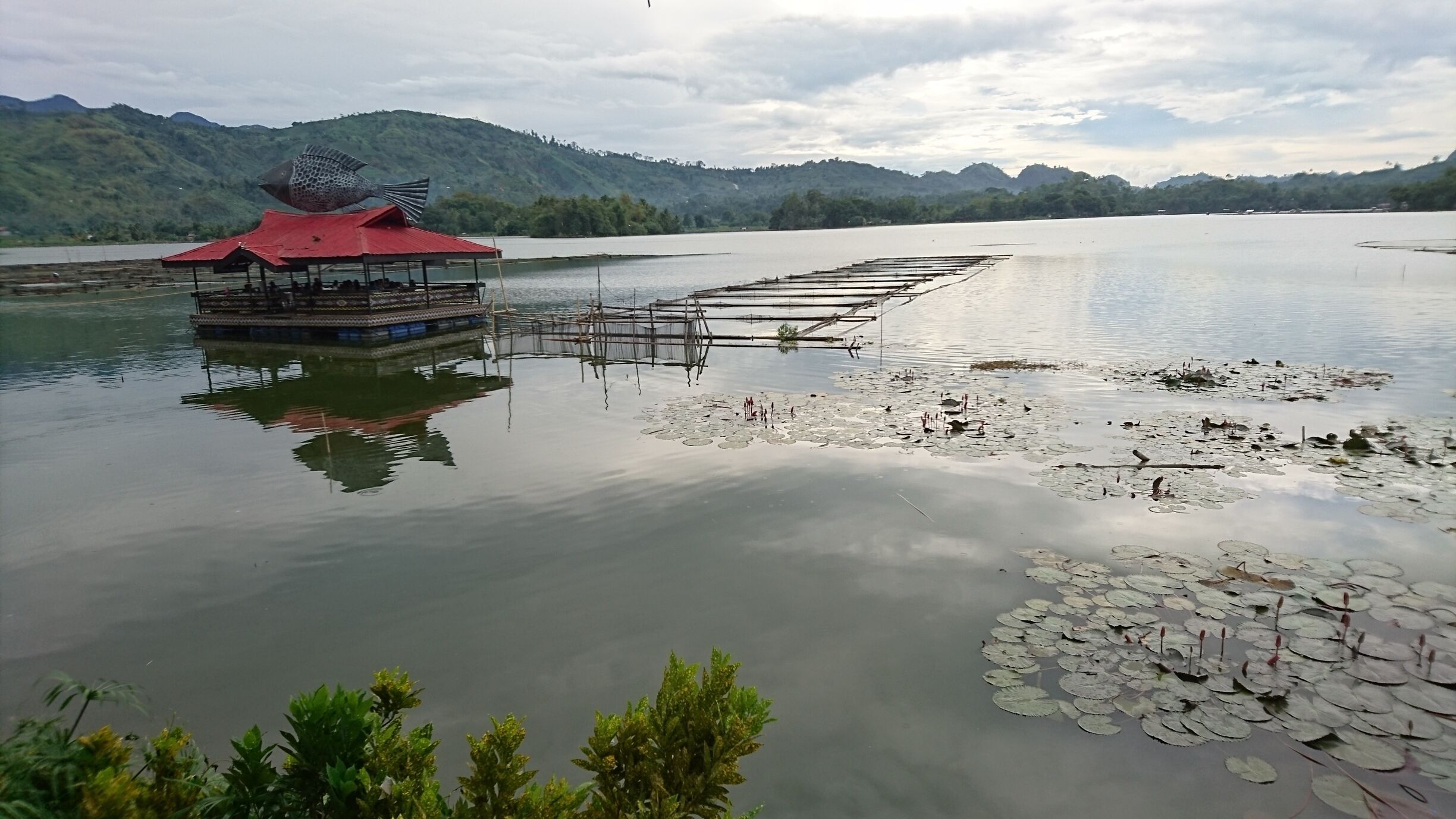 Floating tilapia restaurant.