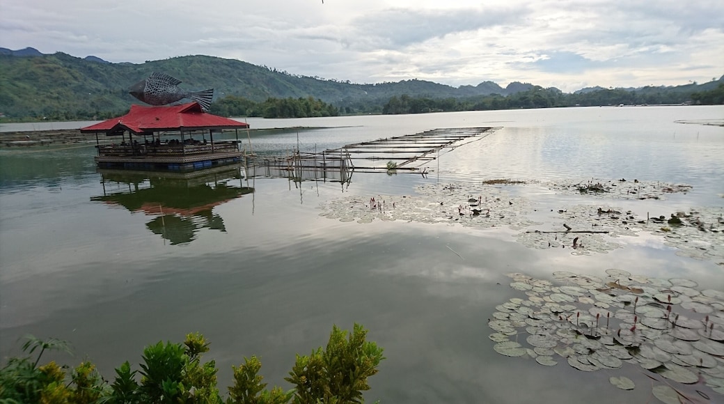 Floating tilapia restaurant.